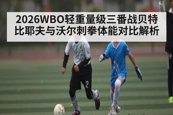 2026WBO轻重量级三番战贝特比耶夫与沃尔刺拳体能对比解析